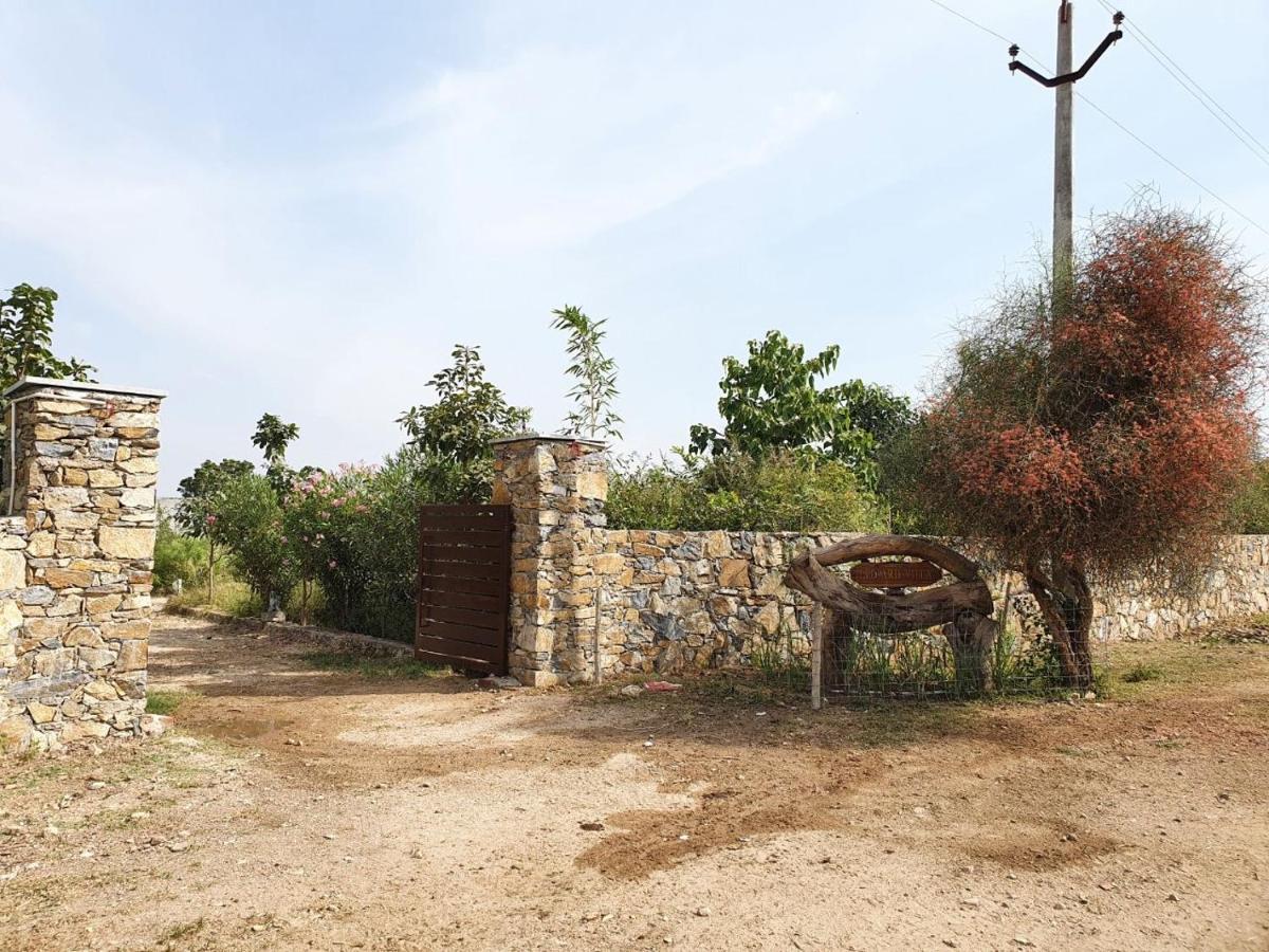 Bijapur Lodge Jawai Εξωτερικό φωτογραφία