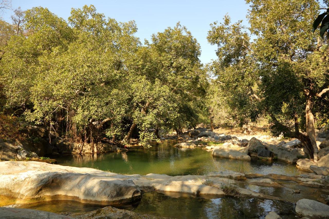 Bijapur Lodge Jawai Εξωτερικό φωτογραφία